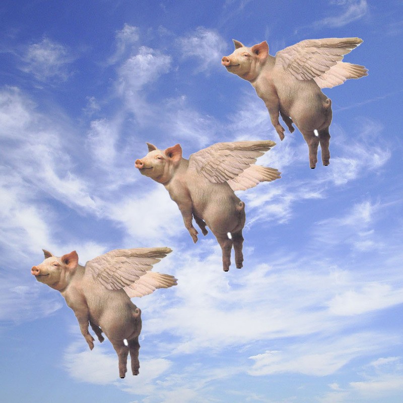 So today is the day that pigs fly, another Cheney will vote for Kam...